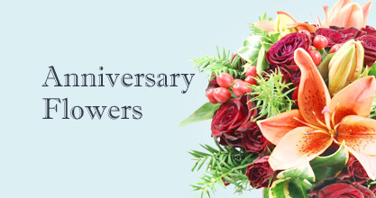 Fitzrovia Anniversary Flowers